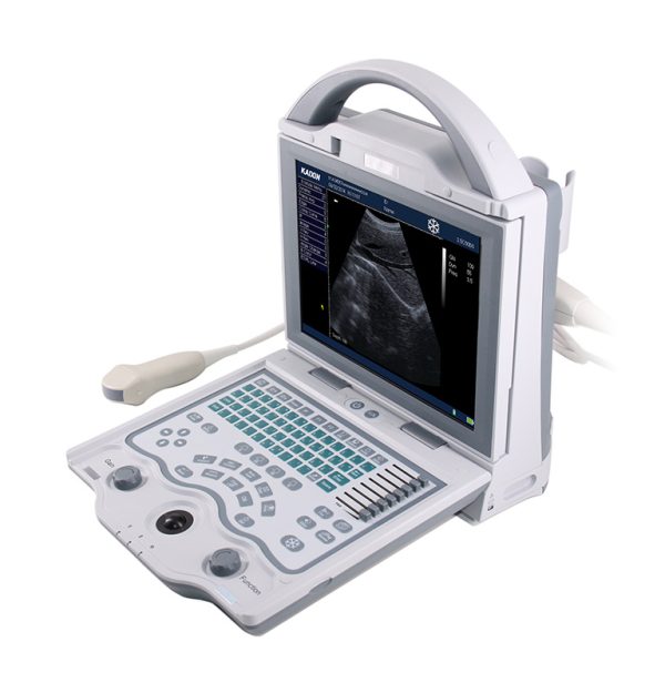 10.4 inch pet animals dog veterinary ultrasound machine KX5600