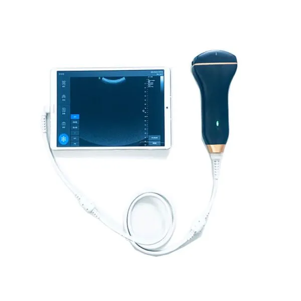Color doppler USB linear convex ultrasound probe for laptop C30C