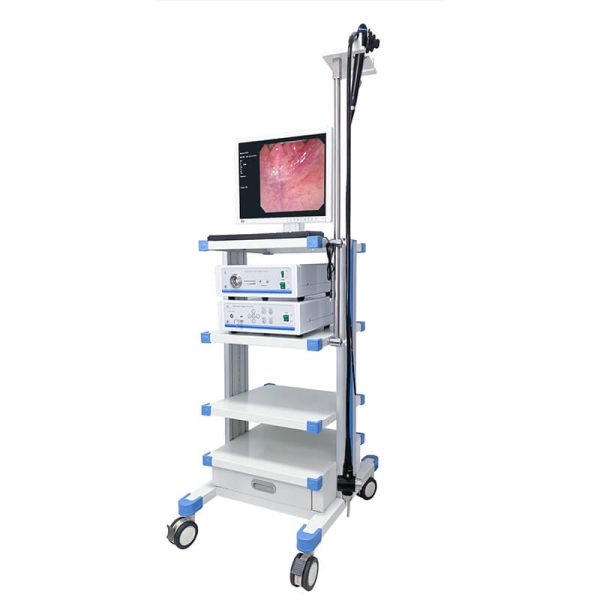 Complete flexible video gastroscope and colonoscope tower (4)