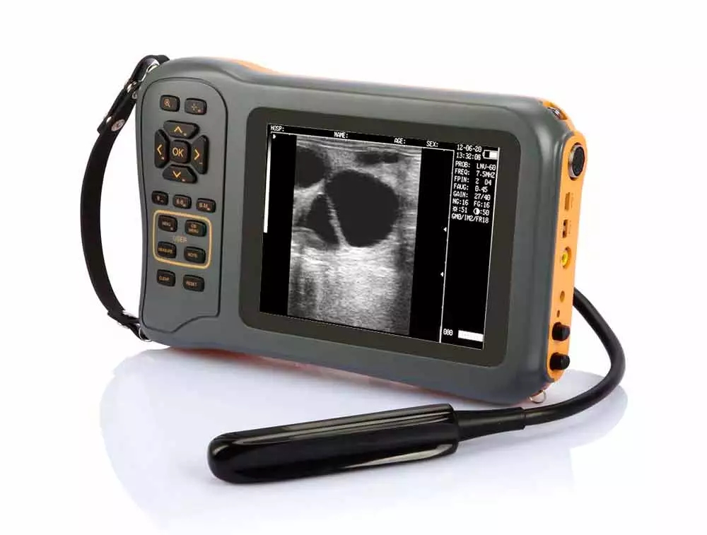 Portable bovine ecografo veterinario veterinary ultrasound L60 (10)