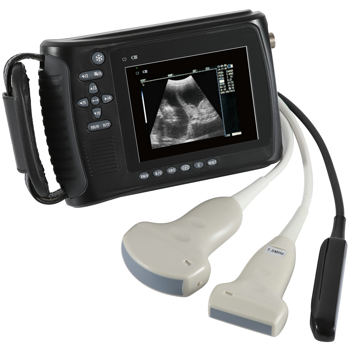 Portable-ecografo-veterinario-veterinary-ultrasound-PL-3018V